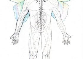 Chrysalis-of-Jerry