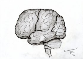 Michael-Lee-brain-lobes
