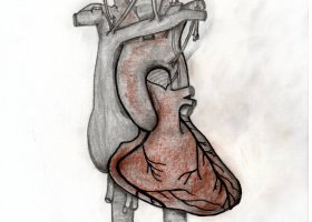Michael-Lee-heart-sketch