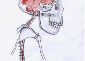 high-res-image-of-brain-for-p.283
